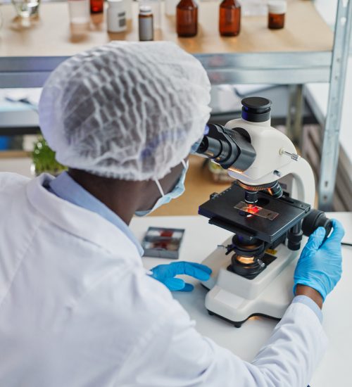 Rear view of African doctor examining medical sample with microscope sitting at his workplace in the laboratory